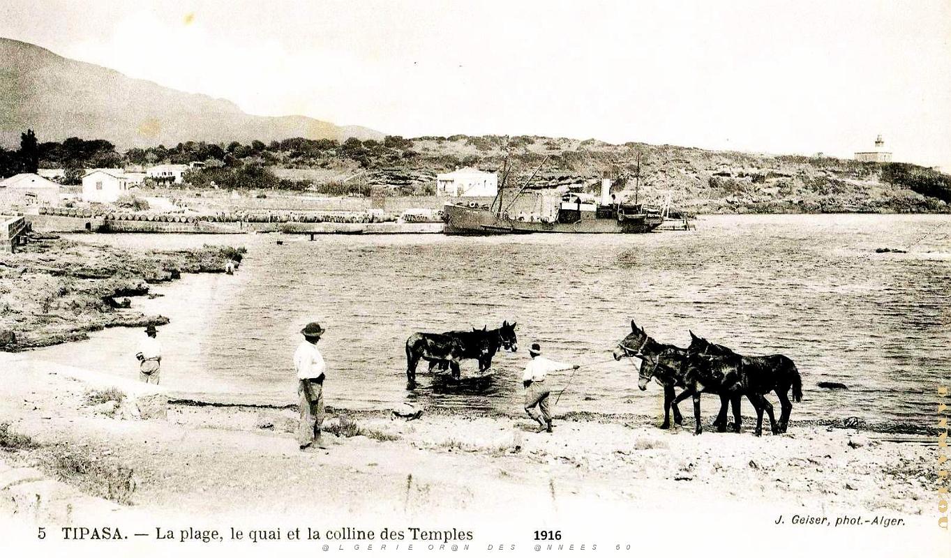 2639- Tipaza - Plage - Quai - Colline des Temples - 1916.jpg